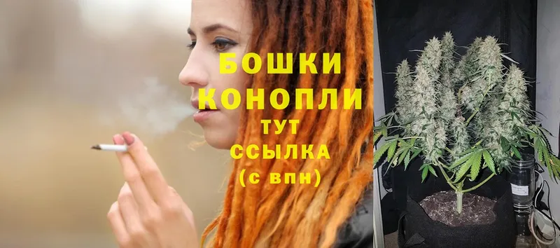 это наркотические препараты  Выборг  Бошки марихуана OG Kush 